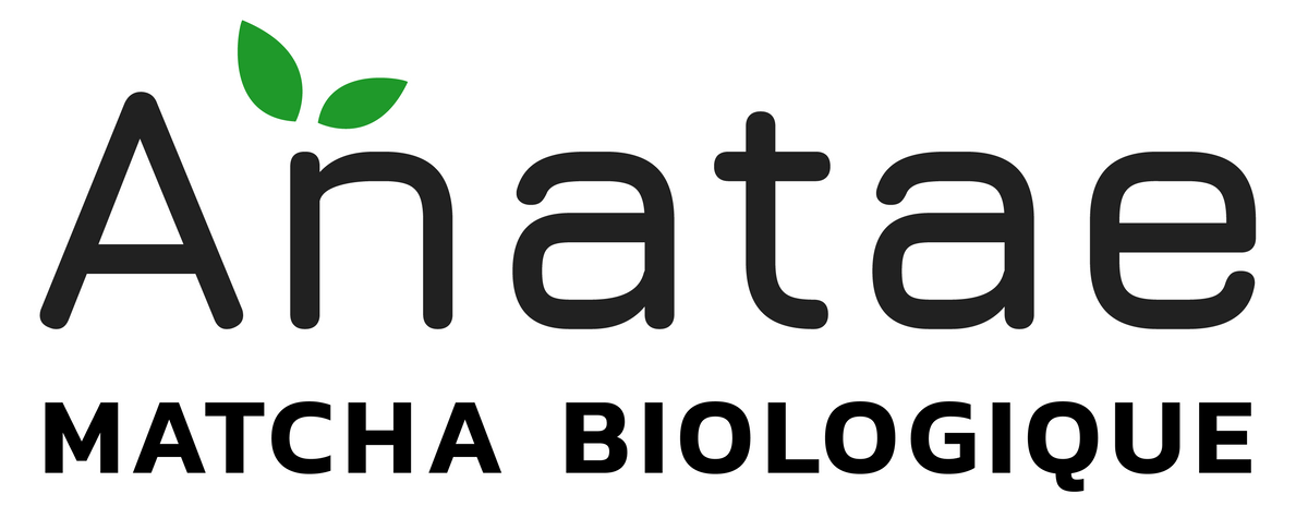 Thé matcha bio – The Vegetal Lab Experience