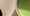 Image to render