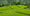 Image to render