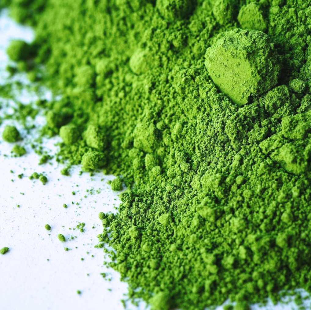 Le Matcha : Thé vert en poudre