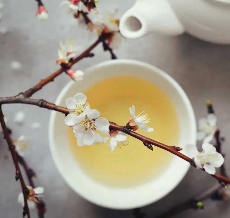 Tout savoir sur le thé blanc et ses bienfaits – Anatae