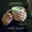 expertise matcha anatae