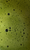 Image to render