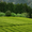 Image to render