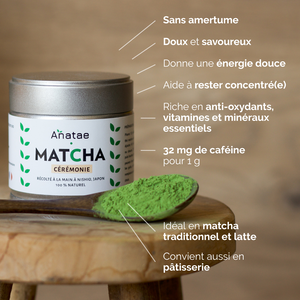 matcha cérémonie bienfaits