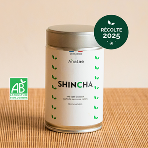Thé vert shincha bio