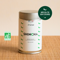 Thé vert shincha bio